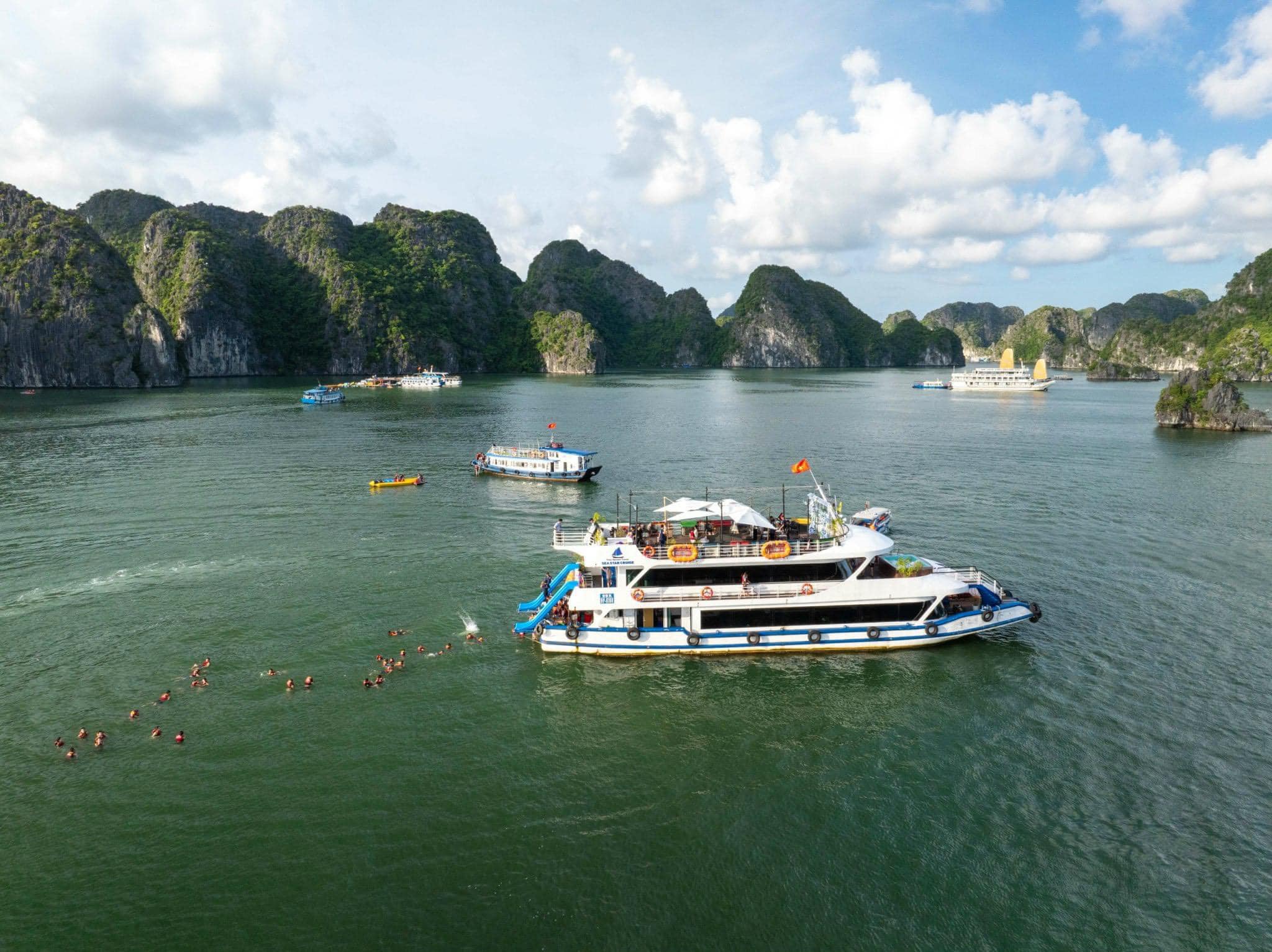 Chia Sẻ Kinh Nghiệm Đặt Vé Tàu Đi Flamingo Cát Bà